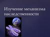 Изучение механизма наследственности