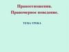 Правоотношения. Правомерное поведение (10 класс)