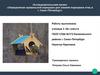 Определение правильной кормушки для зимней подкормки птиц в г. Санкт-Петербург