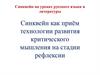 Синквейн на уроках русского языка и литературы