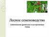 Лесное семеноводство. Семеношение древесных и кустарниковых пород