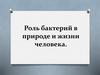 Роль бактерий в природе и жизни человека