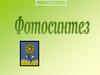 Фотосинтез. 6 класс