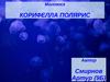 Моллюск: корифелла полярис