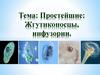 Простейшие: жгутиконосцы, инфузории