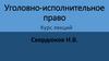 Уголовно-исполнительное право. Курс лекций