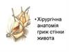 Хірургічна анатомія гриж стінки живота