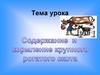 Содержание и кормление крупного рогатого скота