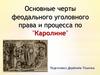 Основные черты феодального уголовного права и процесса по "Каролине"