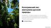 Кологривский лес: жемчужина русской природы