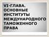 VI-глава. Основные институты международного таможенного права