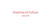 Anatomy of Culture  (lecture # 4)