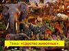 Царство животные