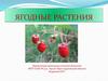 Ягодные растения