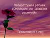 Определение названия растений. Природоведение. 5 класс