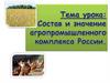Состав и значение агропромышленного комплекса России