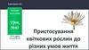 Пристосування квіткових рослин до різних умов життя