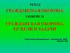 Гражданская оборона, ее цели и задачи. Занятие 11