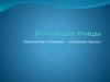 Зимующие птицы. Знакомство с птицами - 2 младшая группа