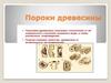 Пороки древесины (дефекты)
