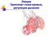 Транспорт газов кровью, регуляция дыхания