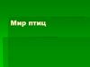 Мир птиц