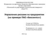 Управление рисками на предприятии (на примере ПАО «Биосинтез»)