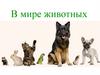 Игра "В мире животных"
