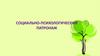 Социально - психологический патронаж