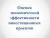Оценка экономической эффективности инвестиционных проектов