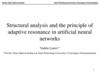 Structural analysis and the principle of adaptive resonance in artificial neural networks