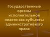 Государственные органы исполнительной власти как субъекты административного права