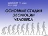 Основные стадии эволюции человека
