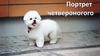 Портрет четвероногого