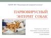 Парвовирусный энтерит собак