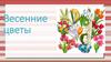 Весенние цветы