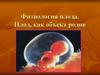 Физиология плода. Плод, как объект родов