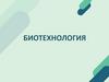 Биотехнология. Значение биотехнологии  (10 класс)