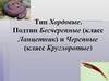 Тип Хордовые. Подтип Бесчерепные (класс Ланцетник) и Черепные (класс Круглоротые)