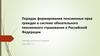 Порядок формирования пенсионных прав граждан в системе обязательного пенсионного страхования в Российской Федерации