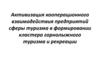 Активизация кооперационного взаимодействия предприятий сферы туризма в формировании кластера горнолыжного туризма и рекреации