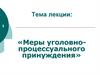 Меры уголовно-процессуального принуждения