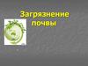 Загрязнение почвы