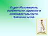 Отдел Моховидные, особенности строения и жизнедеятельности. Значение мхов