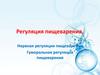 Регуляция пищеварения. Нервная регуляция пищеварения. Гуморальная регуляция пищеварения