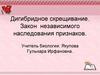 Дигибридное скрещивание. Закон независимого наследования признаков