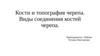 Кости и топография черепа. Виды соединения костей черепа
