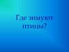 Где зимуют птицы?