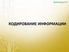Кодирование информации
