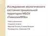 Исследование экологического состояния пришкольной территории МБОУ «Гимназии №80»